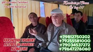 @KrasnodarTashkent Krasnodardan Tashkent ga Avtobus va Aviabilet xizmatlari #musofir #musofirtv