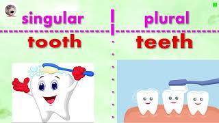 23 Irregular Plural Nouns Singular and Plural Nouns in English