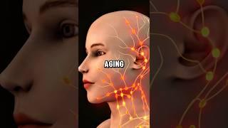 The best anti-aging food in the world?  #health #antiaging