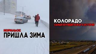 Зима наступает ! Норильск в снегу ! Самый крупный пожар в Колорадо! Изменение климата в 2020 году !