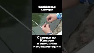 Подводная камера С Алиэкспресс / Товары для рыбалки /