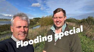 Farm update 300. 1 year after being flooded badly, how is a Lincolnshire farm looking.