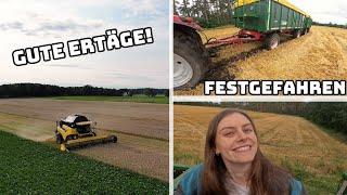 Die Gerste ist ab | Freundin fährt mit 40 Tonnen | Technisches Problem beim Maxxum | Farmvlog #136