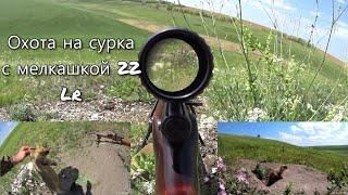 Охота на сурка - байбака с мелкашкой 22Lr