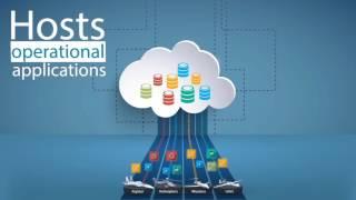 IAI INCT: Integrated Network Centric Terminal