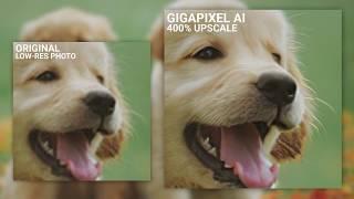 How to Enlarge Your Photos with Gigapixel AI