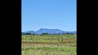 Laguna Wetland Geology Through Time, Presentation with Nicole Myers