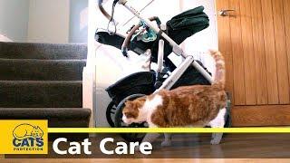 Preparing your cat for your baby's arrival - Cats Protection's Kids and Kitties