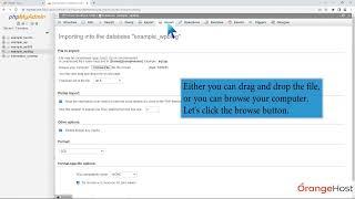 How to import database via phpMyAdmin in cPanel with OrangeHost