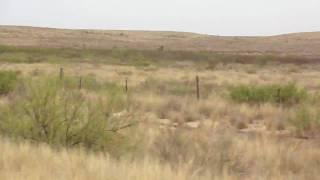 Deserto do Estado do Novo México