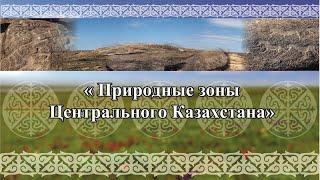 #музеикргобласти  #краеведческийурок Природные зоны Центрального Казахстана, степь.