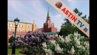 Alexander garden near the walls of the Kremlin. Great views.