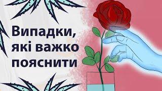 Загадкові історії | Реддіт українською