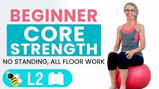 BEGINNER CORE | 15 Minute STABILITY BALL Workout for BEGINNERS