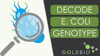Decode E. coli Genotype and Genetic Marker Nomenclature