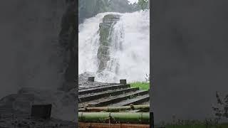 Waterfall #vazhachal #valparai @TheDaily.Wanderer..