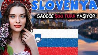 LIFE IN SLOVENIA, THE COUNTRY OF OPPORTUNITIES IN EUROPE! - SLOVENIA COUNTRY DOCUMENTARY