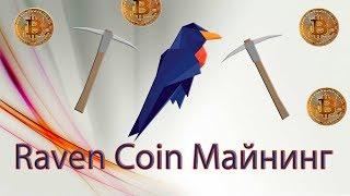 RavenCoin  МАЙНИНГ НА ПУЛЕ - ПОЛНАЯ НАСТРОЙКА (RVN)