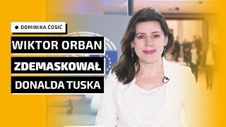 Dominika Ćosić: Tusk stara się znaleźć nowych partnerów w Europie. Starzy go nie chcą.