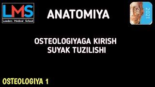 Osteologiyaga Kirish [] Suyak Tuzilishi