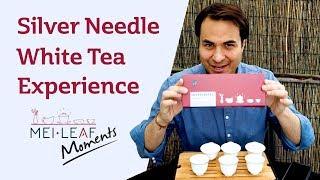 Silver Needle Experience - TASTING A FLIGHT OF WHITE TEA