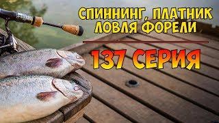 Серия 137. Спиннинг. Платник. Ловля форели. Рыбалка с Нормундом Грабовскисом - 2018.