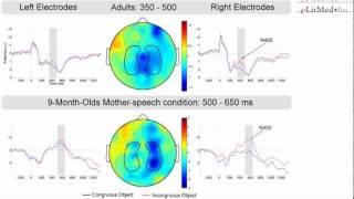 Word Understanding in 9-Month-Old Infants - Eugenio Parise
