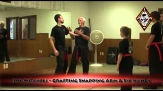 Kenpo Seminar Clip 5 - Grafting Snapping Arm & Six Hands