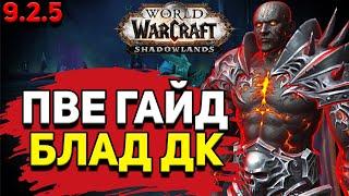 PvE гайд по Рыцарю смерти «Кровь» в WoW Shadowlands 9.2.5