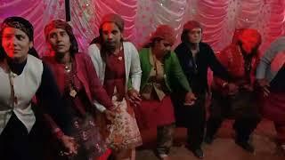 latest Himachali Nati || PC Dogra || Novin Joshi NJ || DCP Studio