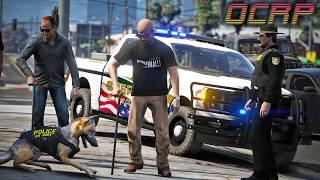 I Can See Just Fine in GTA RP | OCRP