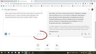 Как перевести видео с YouTube без субтитров на любой язык