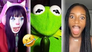 FUNNIEST Kermit Omegle Moments (Hilarious Compilation)