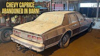 First Wash in 18 Years: Caprice Classic Barn Find! | Car Detailing Restoration