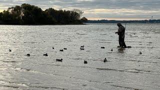 Duck hunting East Texas | bufflehead | 20 gauge | migra 2/4 mix