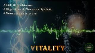 VITALITY - shatterproof health | gut-brain axis resonance