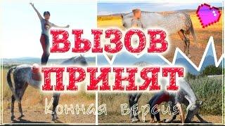 ВЫЗОВ ПРИНЯТ конная версия by Алиса и Медея