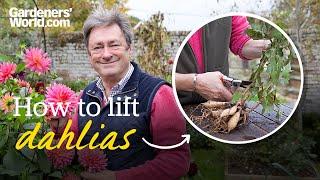 Why you need to LIFT DAHLIA tubers and how to do it | Alan Titchmarsh's guide to lifting dahlias