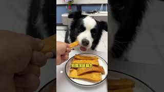拆家小狗就多给这个耐啃的肉酱牛皮#萌宠#宠物#动物#可爱#animals#cute#funny