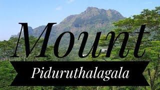 Mount Piduruthalagala