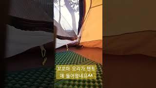 2023년 6월 5일