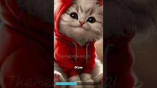 Meow show#cat #cute #meow #funny #shorts