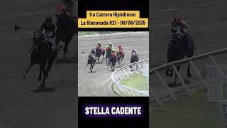 STELLA CADENTE - 1ra Carrera Hipódromo La Rinconada R21 #foryou #hipismo #inh #race #parati #horse