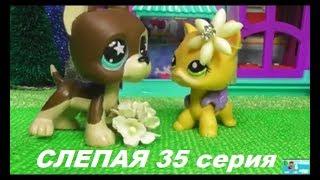 LPS: Слепая 35 серия