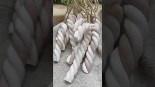 Candy canes are all you need this year to decorate your tree
