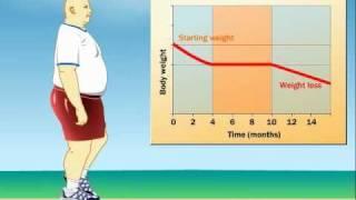 How Does Exercise Impact Weight Loss?