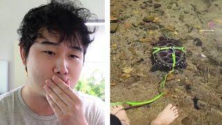 Petkeeping in Korea is DIFFERENT | Fish Tank Review 266