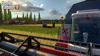 Farming Simulator 15  Сосновка (Молотим рапс ч 6)