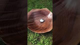 Wooden sink walnut wood Holzwaschbecken from Start to finish CNC woodworking piece of art shell