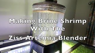 Making Brine Shrimp